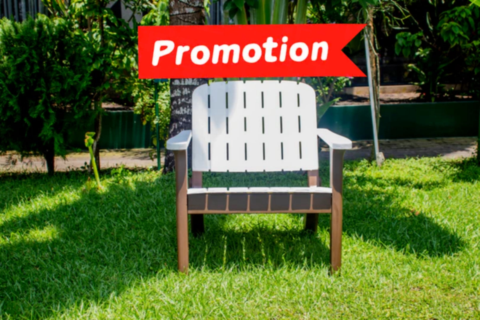 Chaise Alba une place