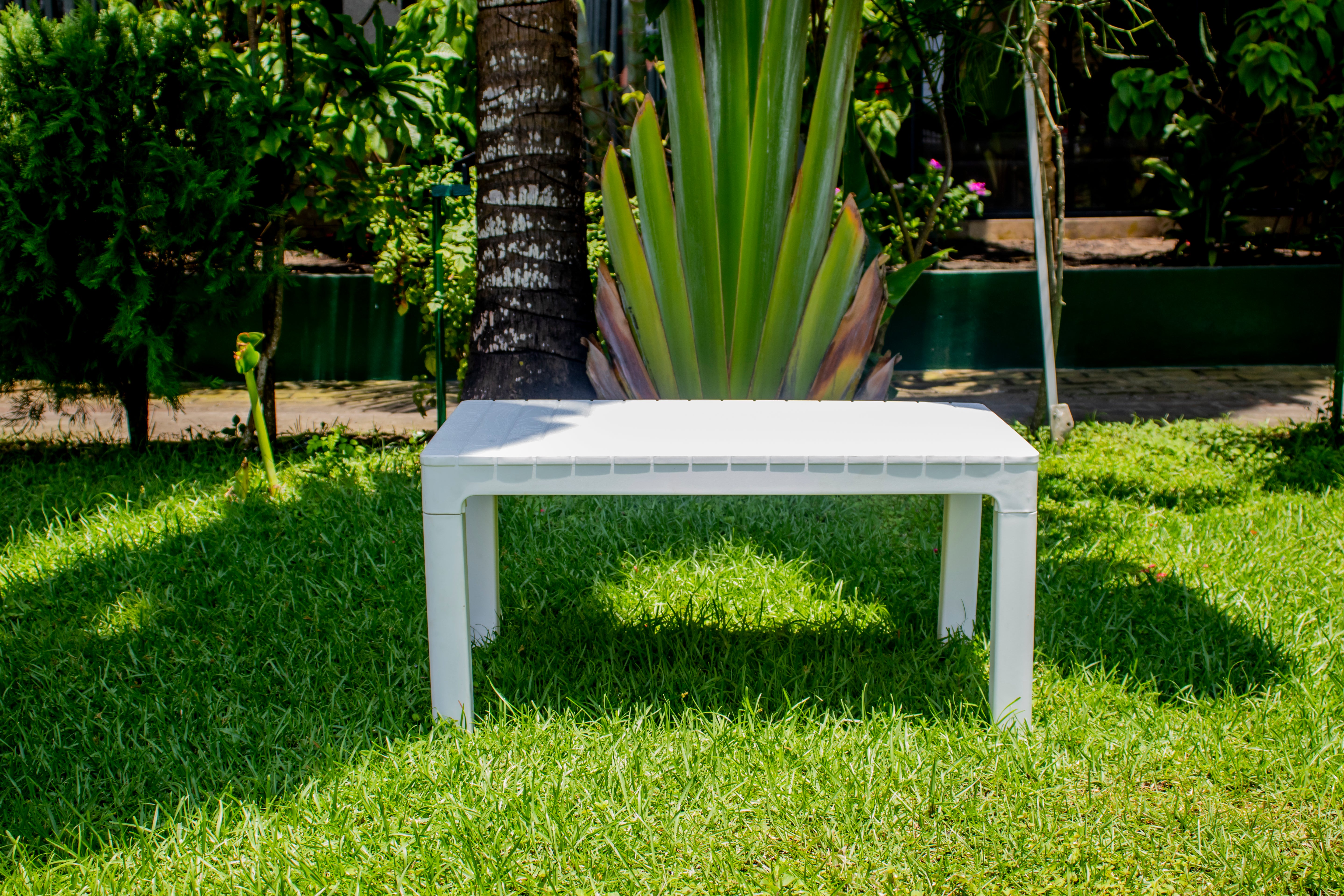 Table Alba